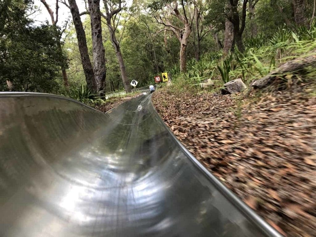 Toboggan Hill Park