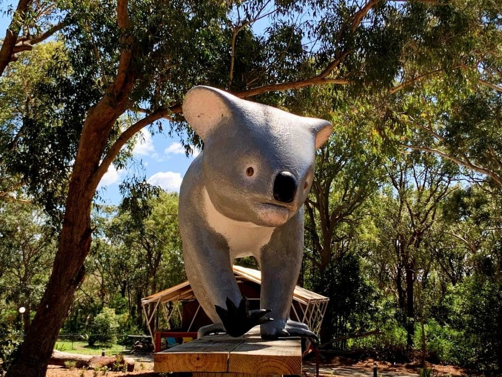 Port Stephens Koala Sanctuary