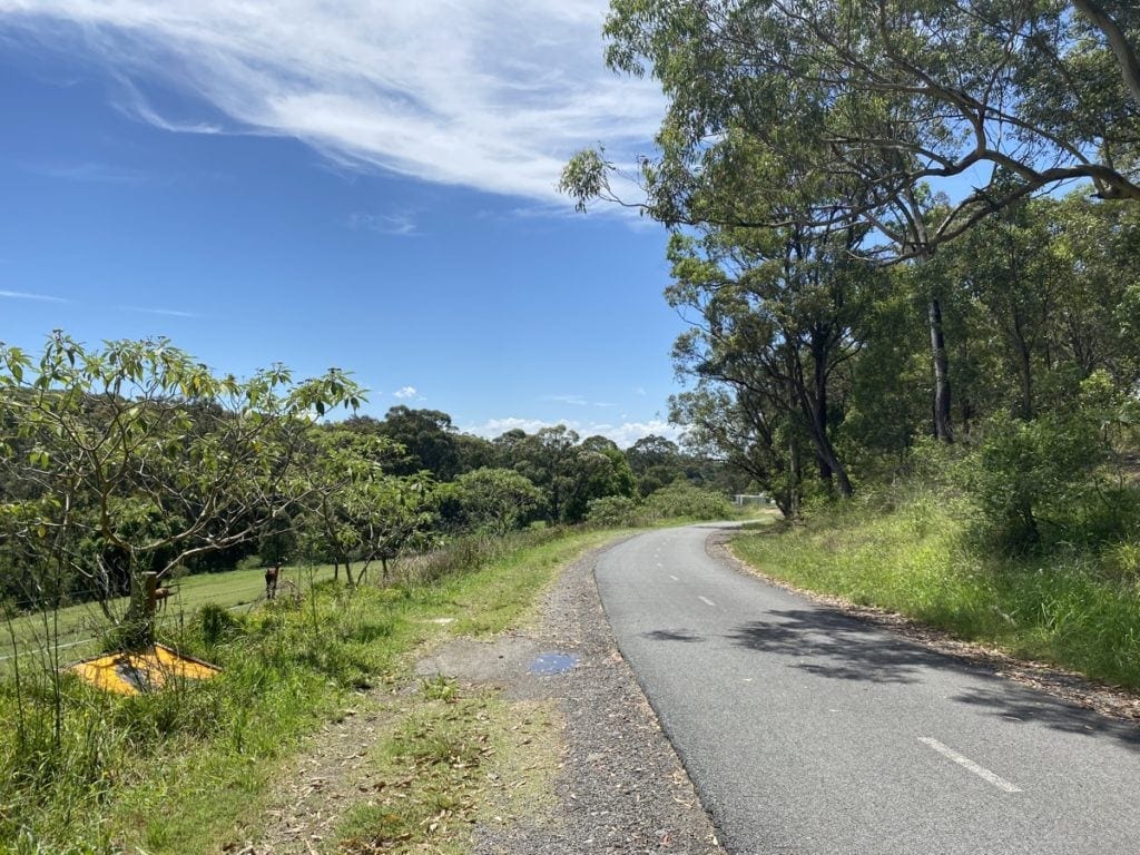 Tramway Track Wallsend