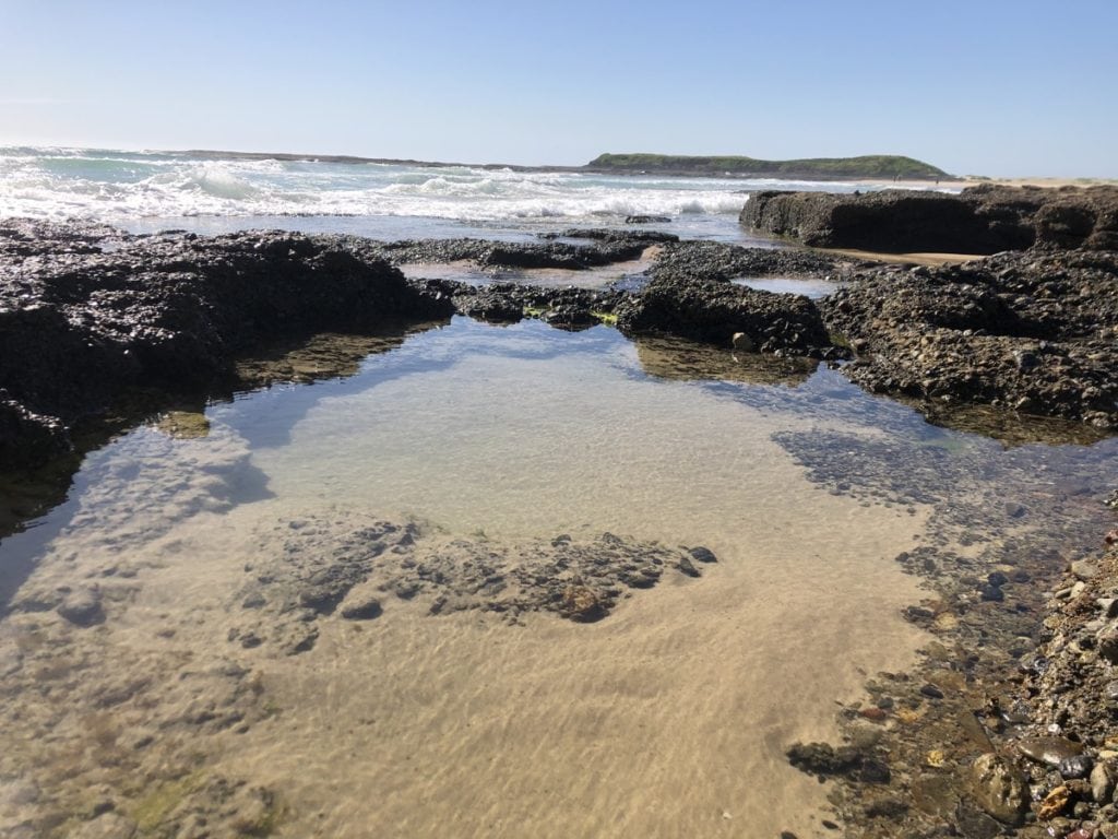 Munmorah State Conservation Area