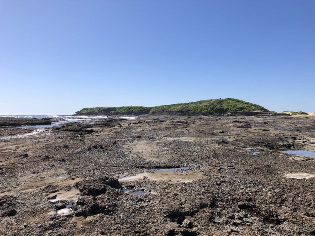 Moonee Beach