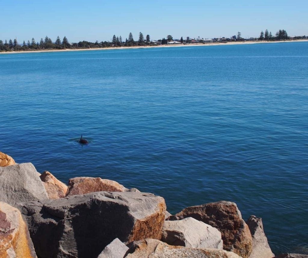 Stockton Shipwreck Walk