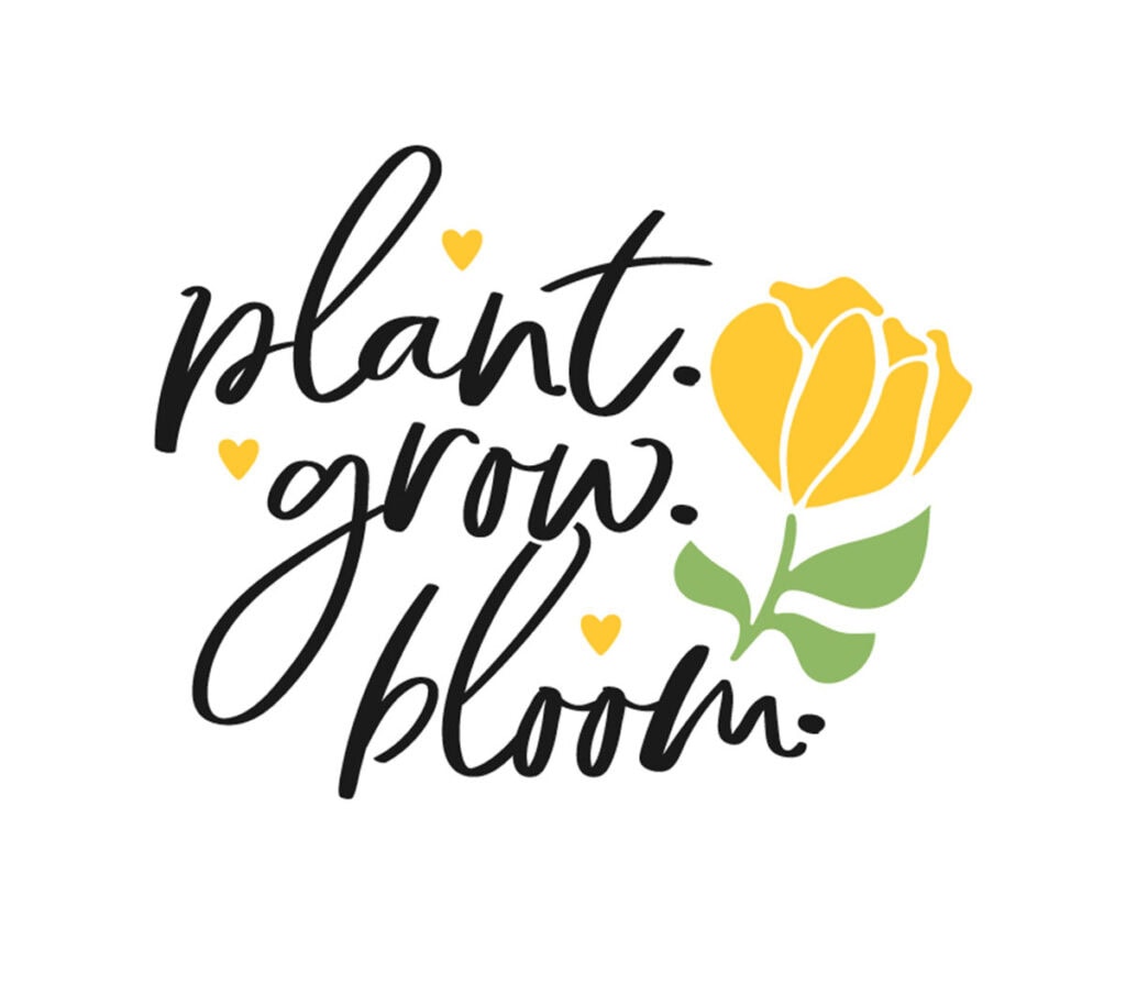 Download 12 Gorgeous Free Svg Cut Files For Spring Clementine Creative