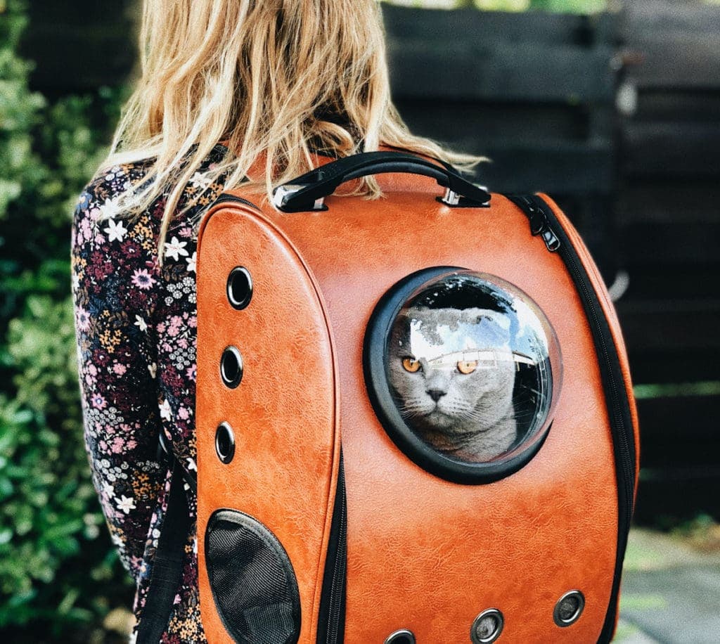 Backpack 2 Edited