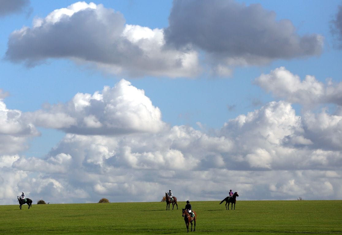 Totesport Cheltenham