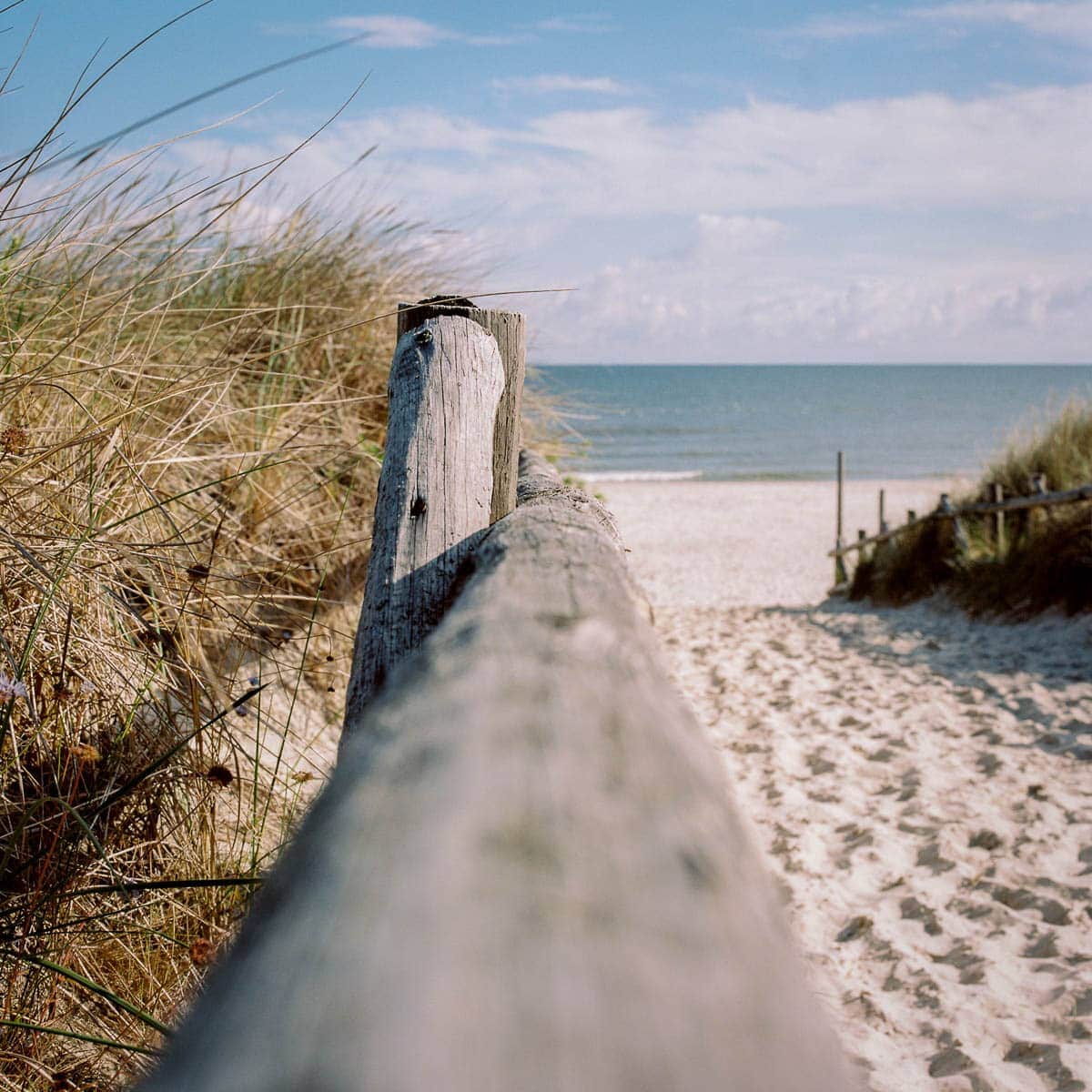 Handlauf Film: Kodak Portra 160