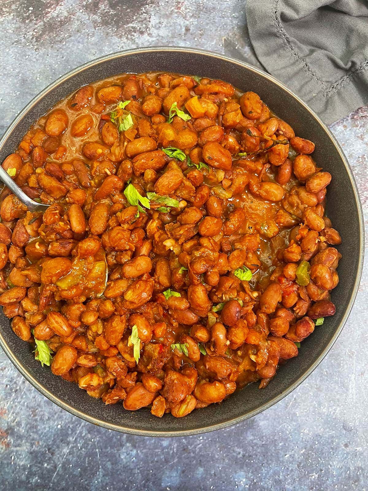 anasazi beans on a blue grey background