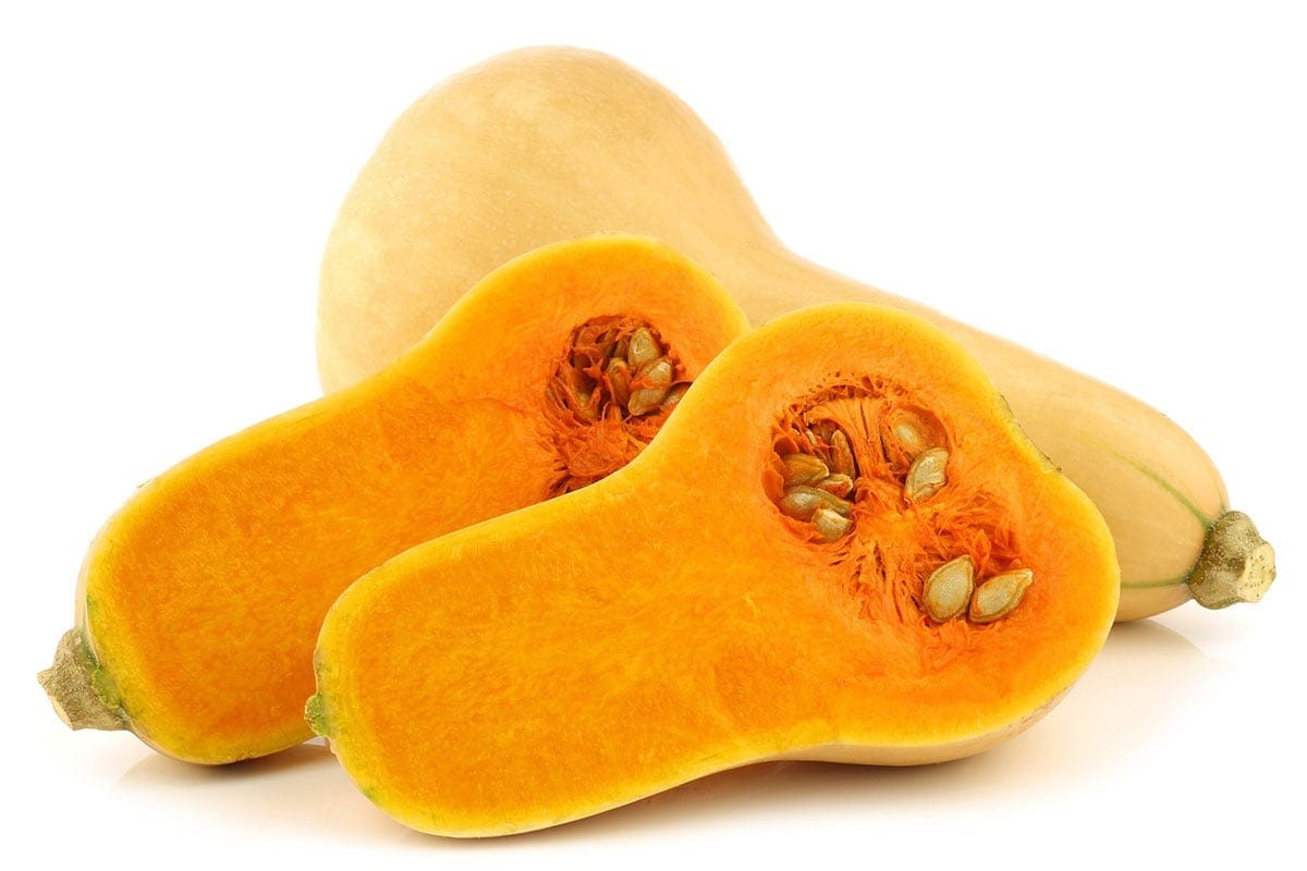 butternut squash on white background