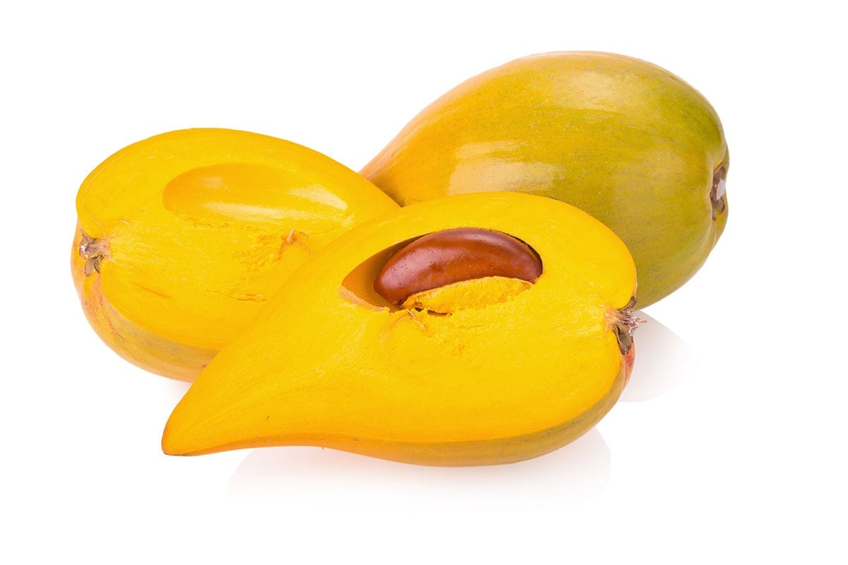 canistel fruits in a white background