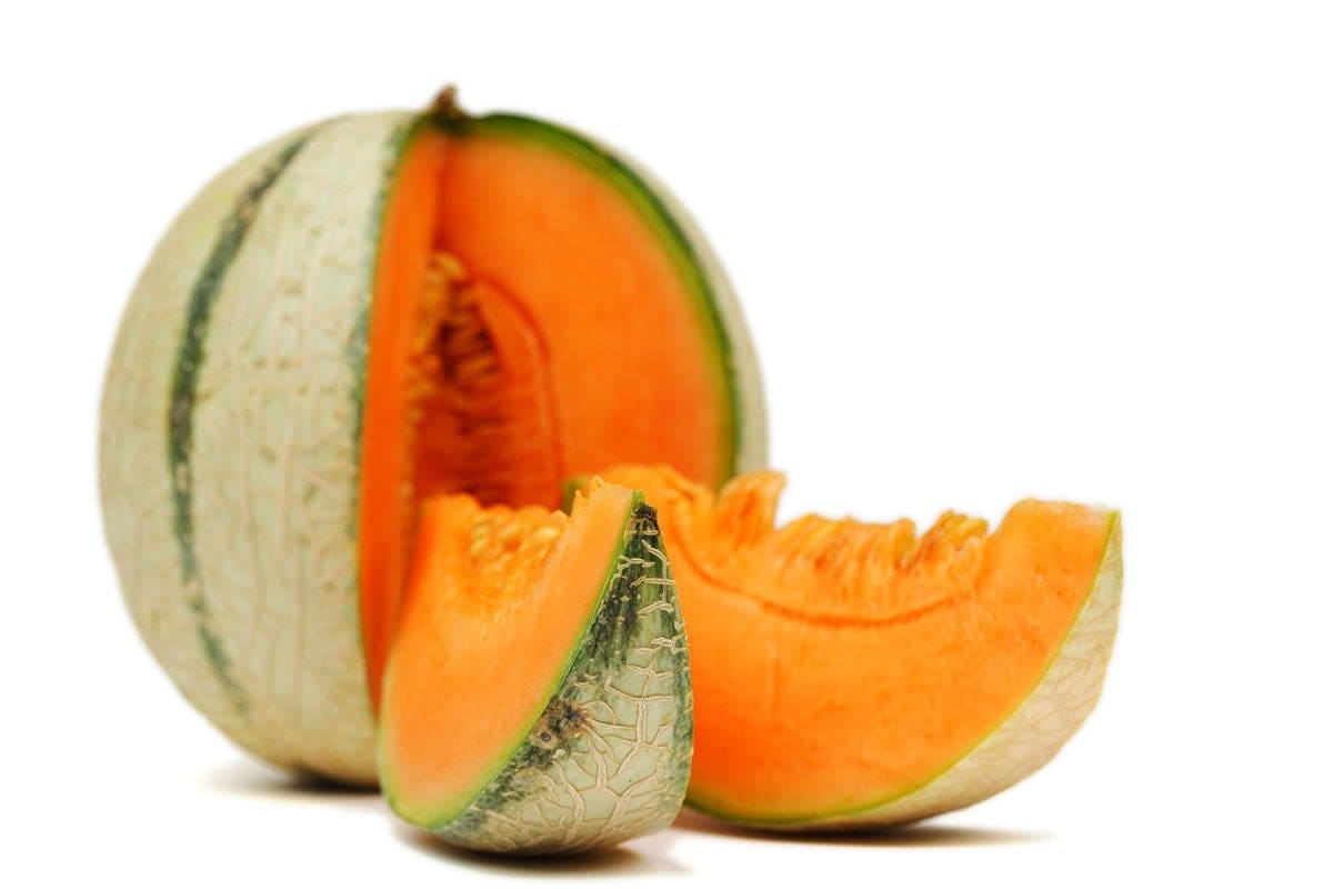 cantaloupe on white background