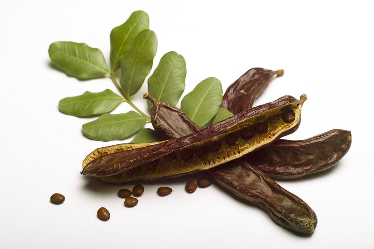 Carob pods with leaves on a white background