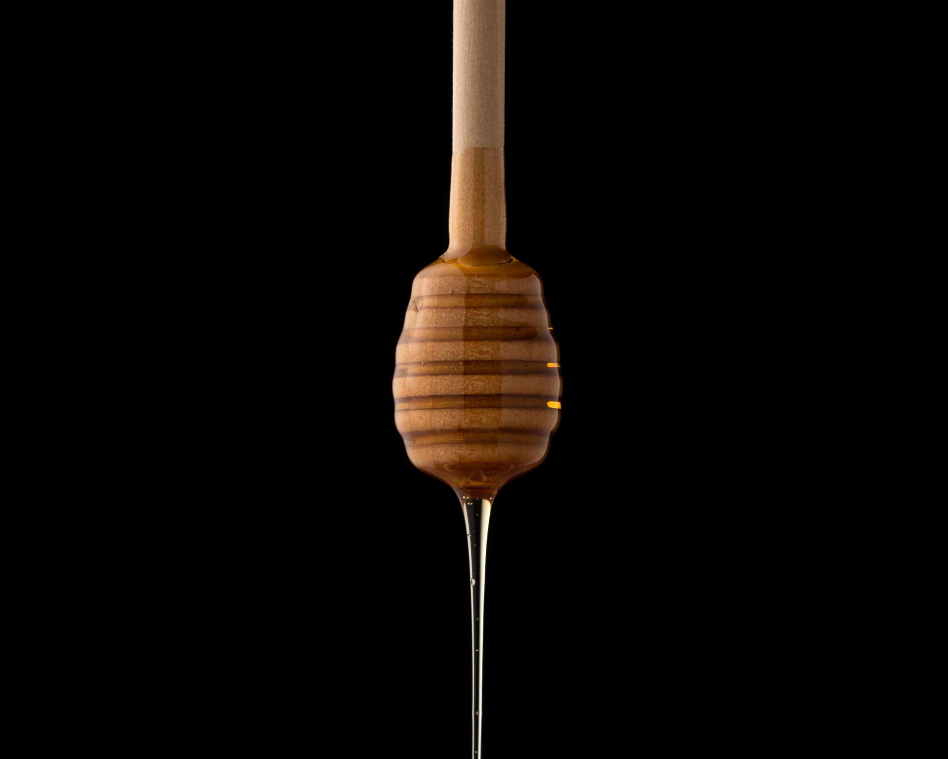 Regular Honey vs. Manuka Honey