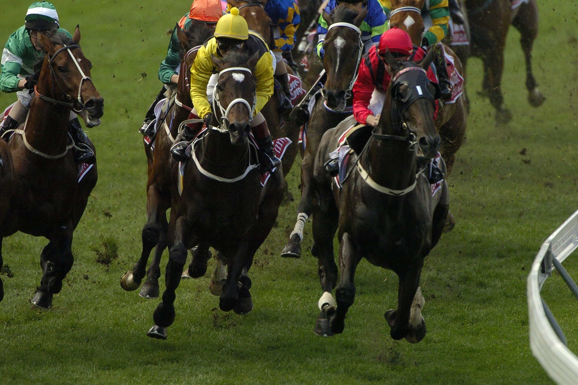 Best Horse Racing Betting Sites