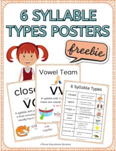 6 syllable types posters for classroom