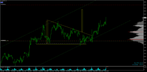 CL-PETROLEO