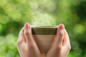 Herbal Remedies for Your Gums