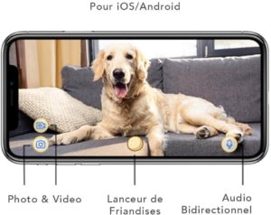 caméra pour chat interactive