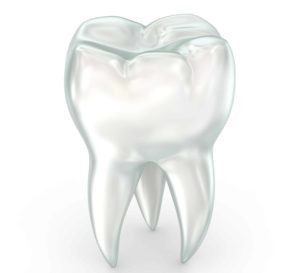 Strong teeth