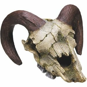 calaveras de animales