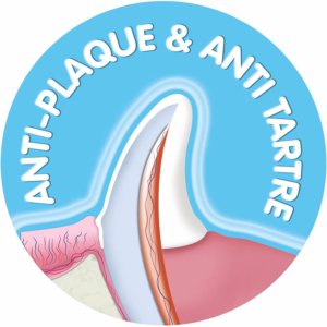 plaque dentaire chat