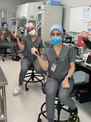 ivf