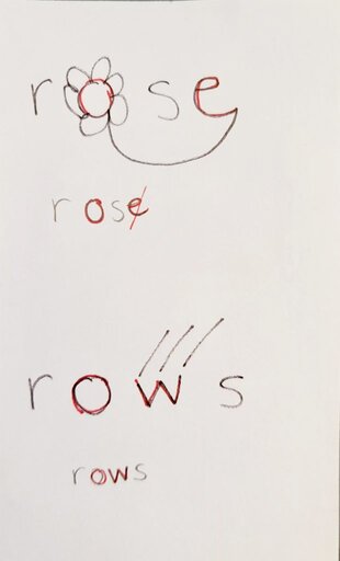 rose rows homophones picture card