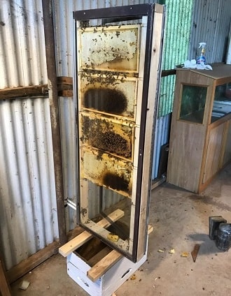 Vertical Observation Hive