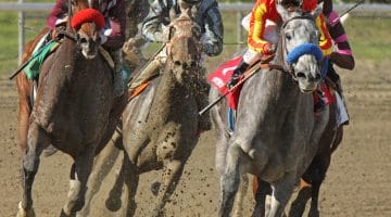 Which Bookmakers Pay First Past the Post