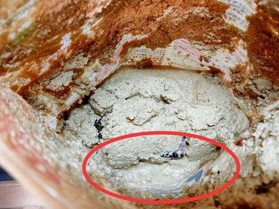 ぬか漬け初心者でも自宅で簡単 「発酵ぬかどこ」でぬか漬けデビュー お手入れ