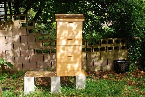 Beehive Off the Ground