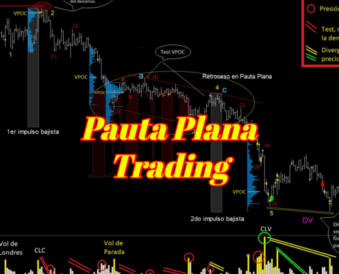 pauta-plana-trading