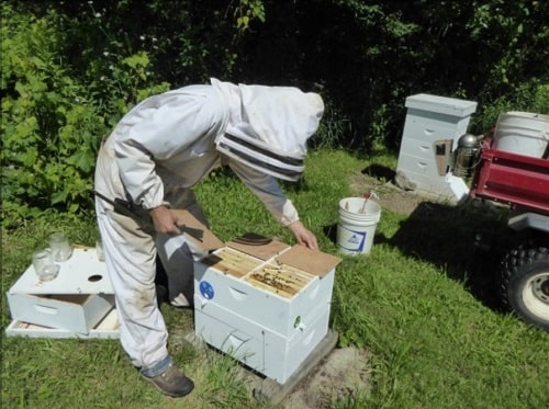DIY Beehive - Mini Nucs