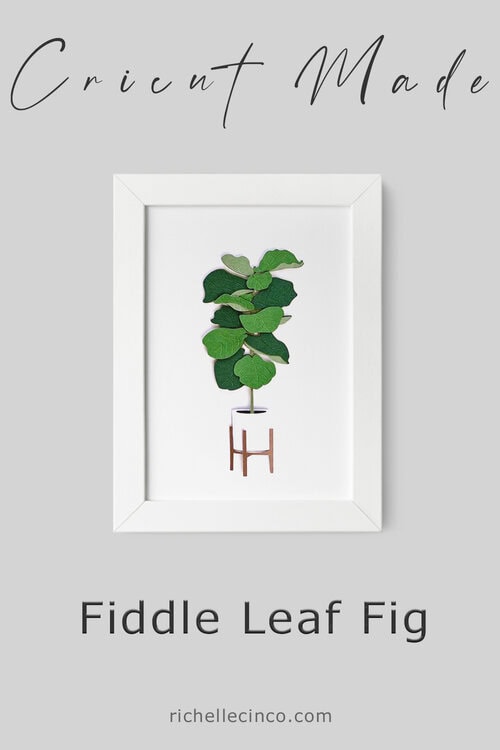 Fiddle Leaf Fig In A Frame