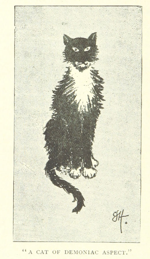 From: The Marches of Wales. Notes and impressions on the Welsh Borders, etc., 1894. Source: British Library, public domain.