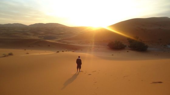 Alone in the desert with no food