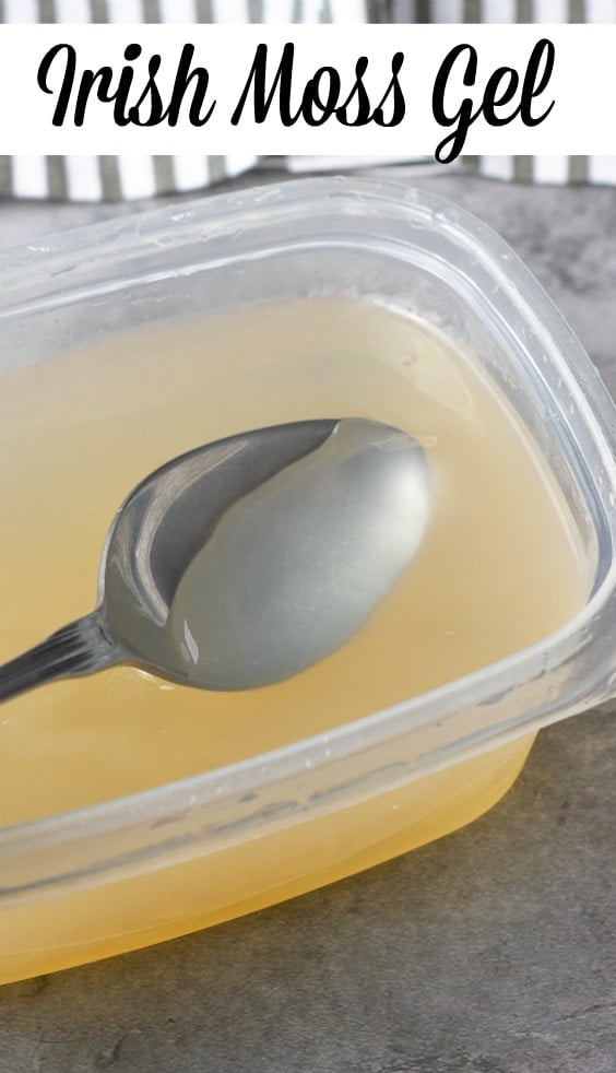 Irish moss gel in a container for storage