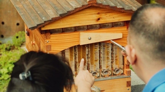 Beekeepers Next to Flow Hive