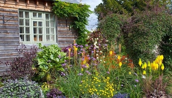 Grow a Pollinator Garden