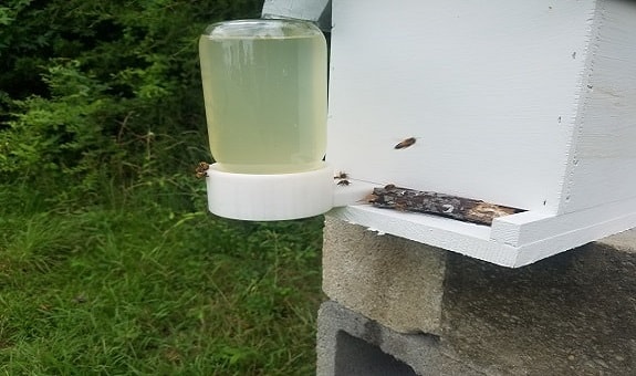Boardman Entrance Feeder