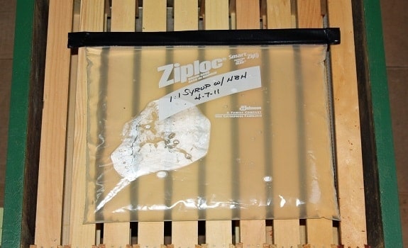 Baggie Feeder for Sugar Water