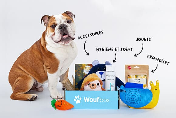 Woufbox notre avis