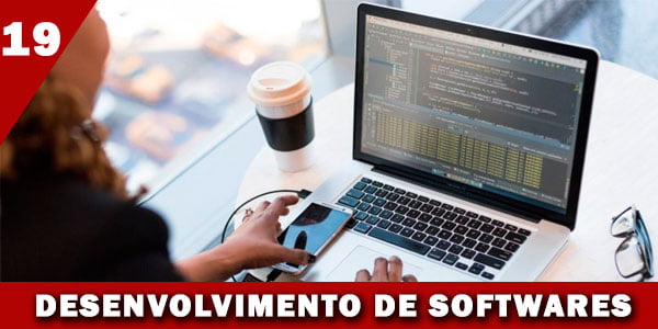 ganhando dinheiro criando programas para empresas