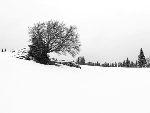 neve, emozione