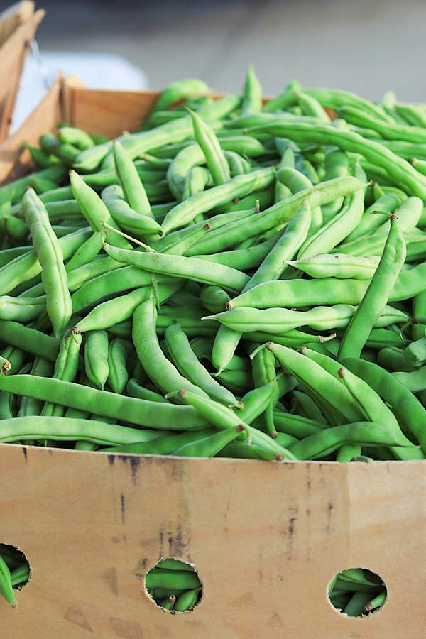 green beans green beans