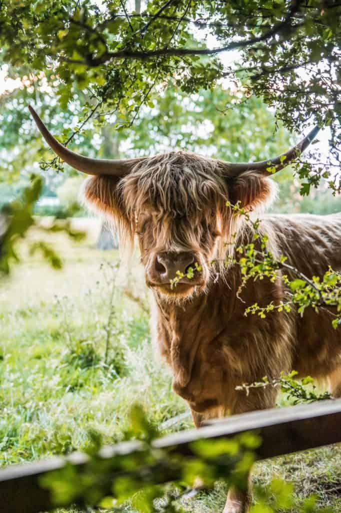 Even luchten hooglander zoetermeer