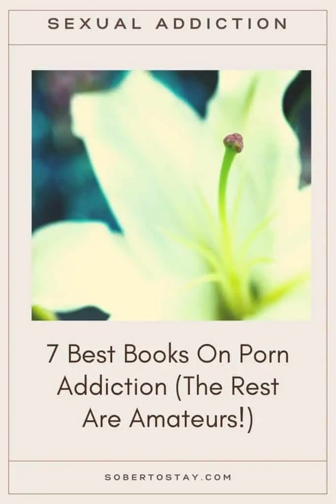 7 Best Porn Addiction Books The Rest Are Amateurs Sobertostay 