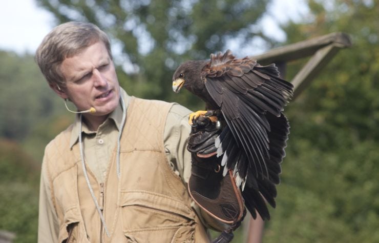 Foto: Eifelpark, Adler Show