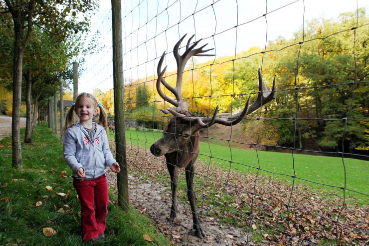 Foto: Eifelpark, Rotwild