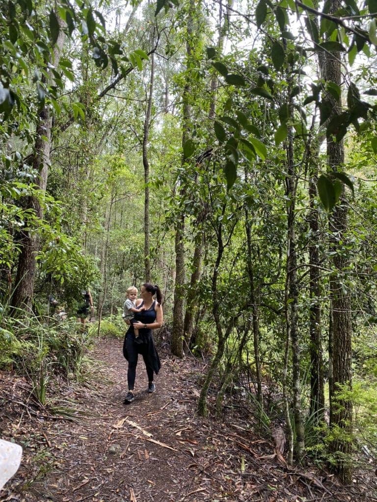 Boarding House Dam Walk Watagans
