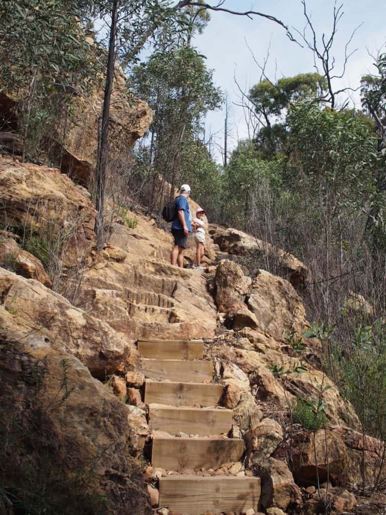 Fans Horizon Walking Track